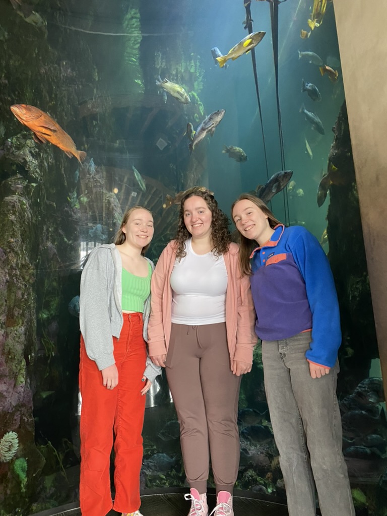 Three girls in front of a big fish tank at an aquarium.